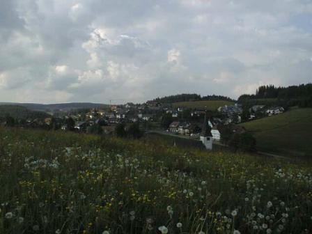 Neukirch in Summer